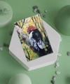 Notecard of Illuminated Redheaded Woodpecker
