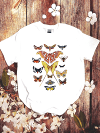 Image 3 of Moth Study T-shirt 