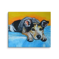 Image 4 of Blue Heeler Sunrise Sunset