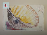 Image 4 of "Sea Beasts Studies" - ORIGINALS