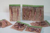 Image 1 of Worm Earrings