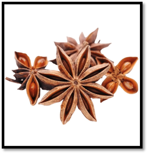 Star Anise | Raining Lake Apothecary & Botanica