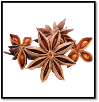 Star Anise