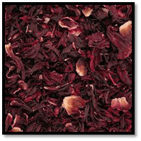 Hibiscus