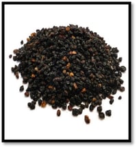 Elderberry