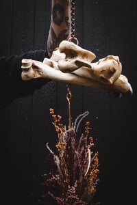 Image 3 of Pendulum Hanger 2