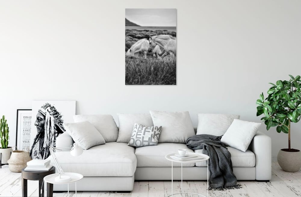 Image of Wild Hebrides 