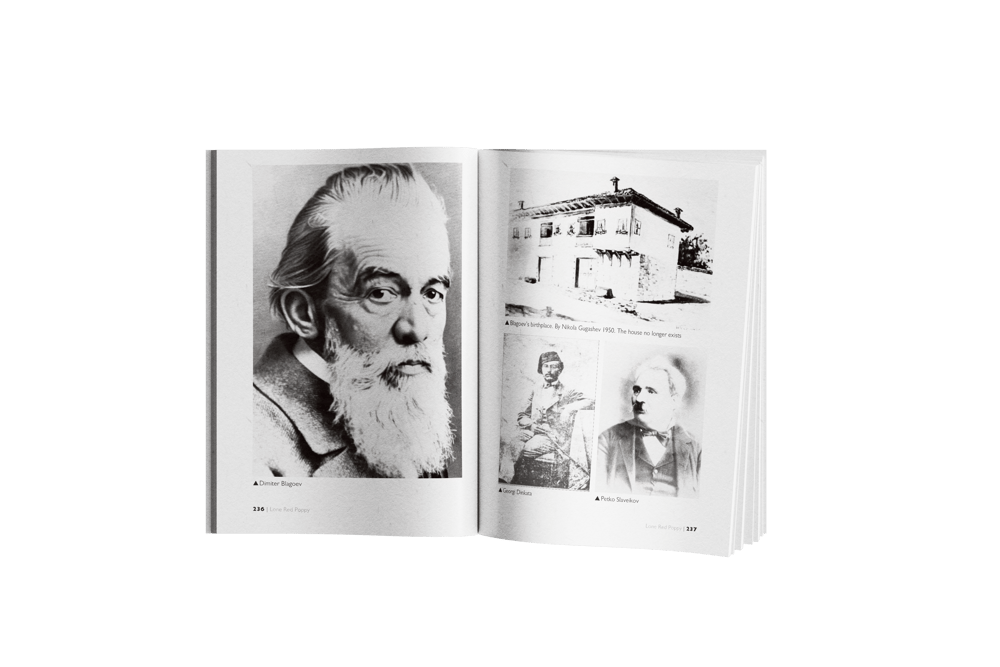 Lone red poppy A biography of Dimiter Blagoev