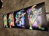 Image of Rock n roll turtles banner 