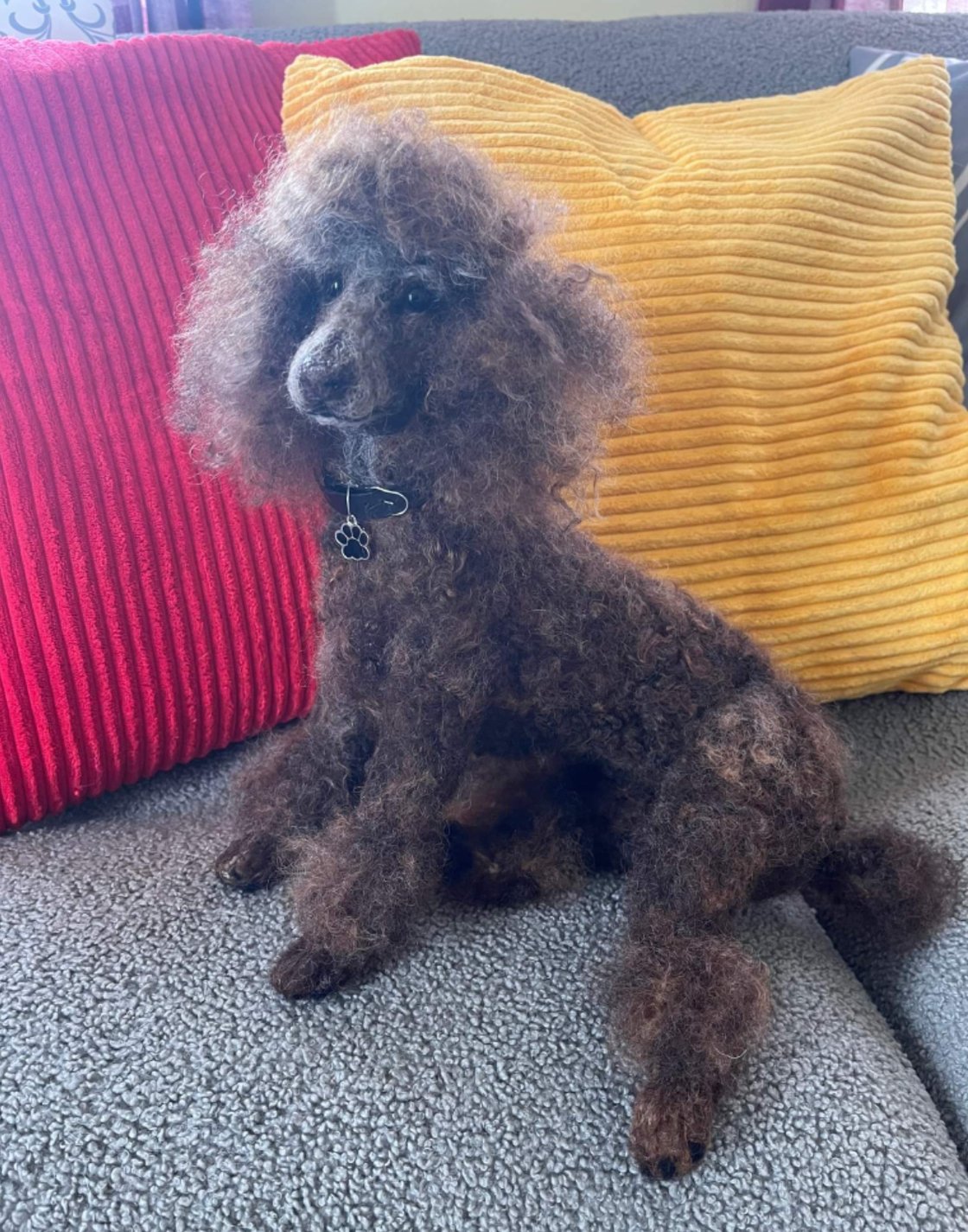 Image of 15" Custom Large sitting poodle,choice of any color