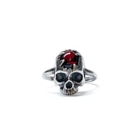 Image 1 of Animus Apertus ring in sterling silver or gold