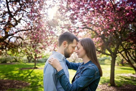 Image of Spring Blossom Sessions