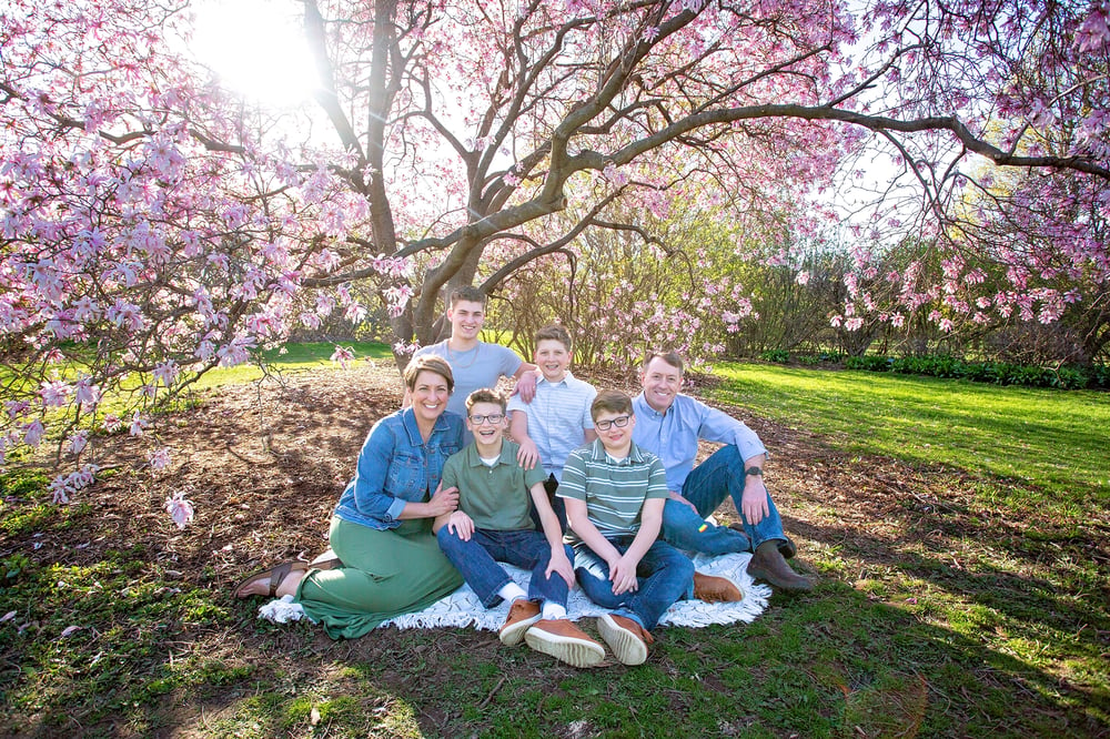 Image of Spring Blossom Sessions
