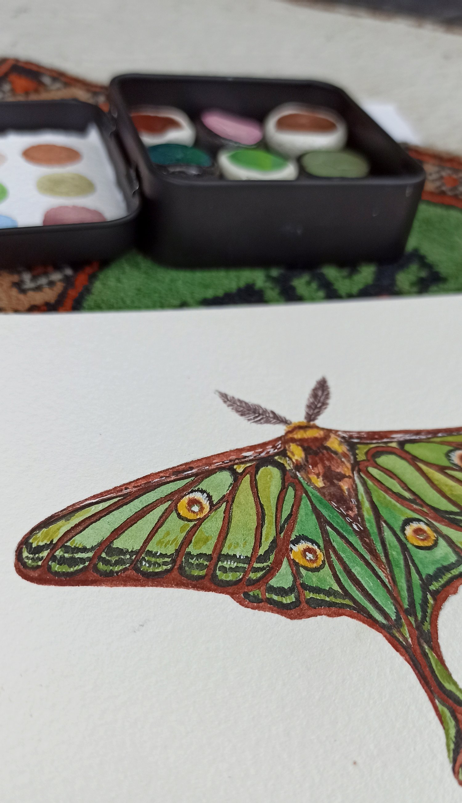 Image of Spanish Luna Moth watercolor ORIGINAL ARTWORK 