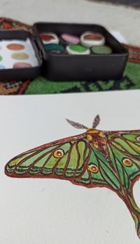 Image 4 of Spanish Luna Moth watercolor ORIGINAL ARTWORK 