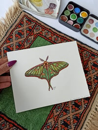 Image 5 of Spanish Luna Moth watercolor ORIGINAL ARTWORK 