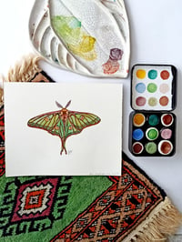 Image 1 of Spanish Luna Moth watercolor ORIGINAL ARTWORK 