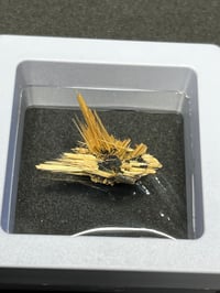 Image 1 of Golden Rutile & Hematite Star Specimen #2203