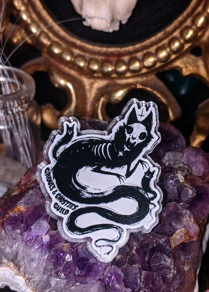 Image of Ghouls and Ghosites pin