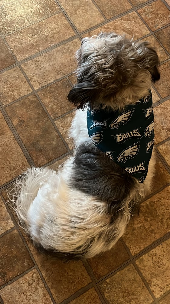 Image of Philadelphia Eagles Pet Bandana