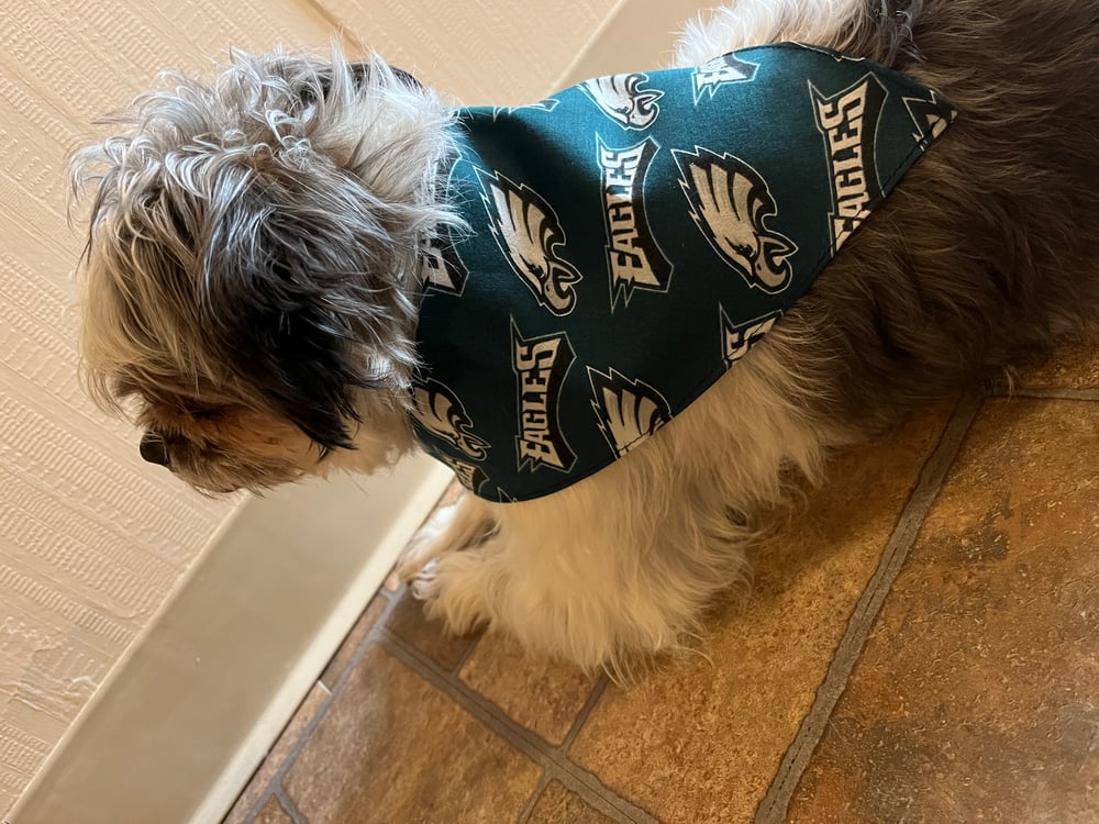 Image of Philadelphia Eagles Pet Bandana