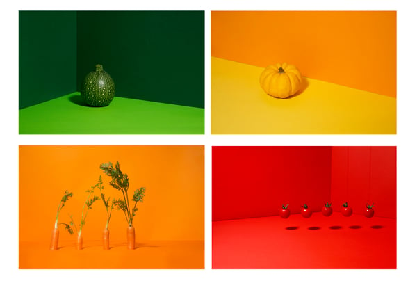 Image of vegetable / each print 