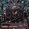 INFECTING THE SWARM - Pulsing Coalescence - Digipack CD