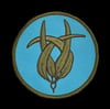 Bull Kelp Patch