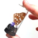 Lesser Purple Emperor Butterfly Wing Curio Vial I
