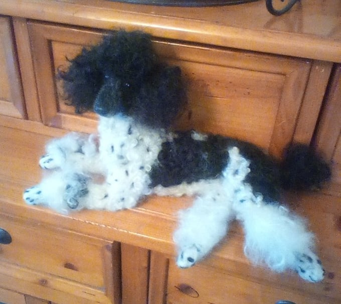 Image of Small 9" black/white parti poodle