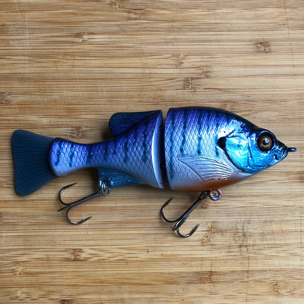 The Time Bomb Bluegill | Purple Tiger