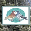 Love Birds - Pigeons 