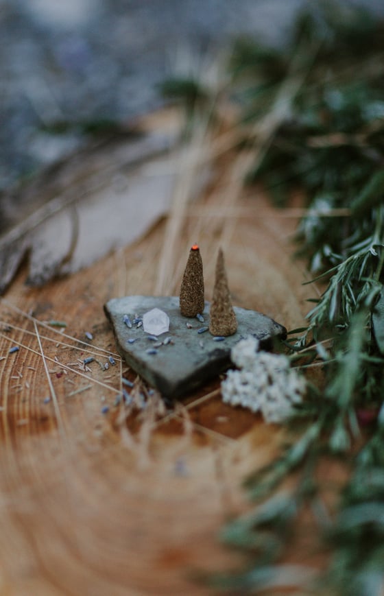 Image of Eucalyptus Bark, Rosehip, Ginger, Cardamom & Nutmeg Cones