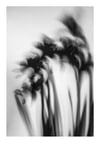 Daffodils - A4 Photo Print