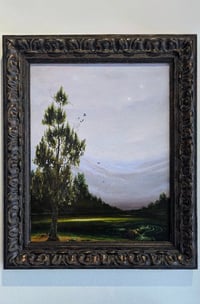 Image 5 of Touch of Madness