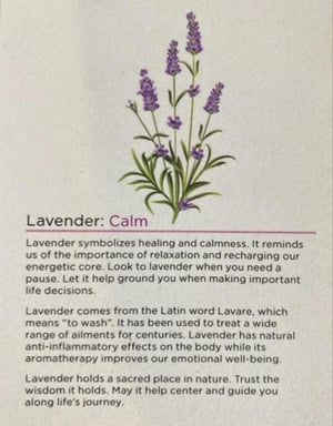 Image of Lavender ornament medicine ball