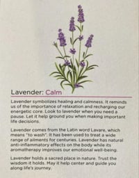 Image 2 of Lavender ornament medicine ball