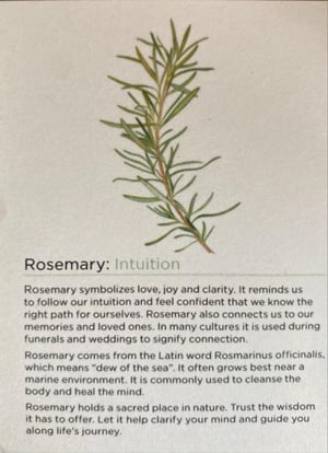 Image of Rosemary medicine ball