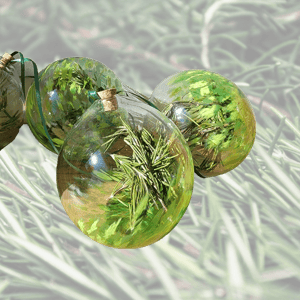 Image of Rosemary medicine ball