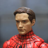Image 1 of Spidey Tobey