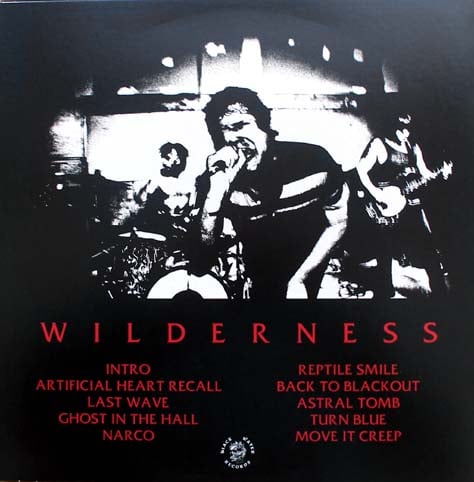 Long Knife - Wilderness LP