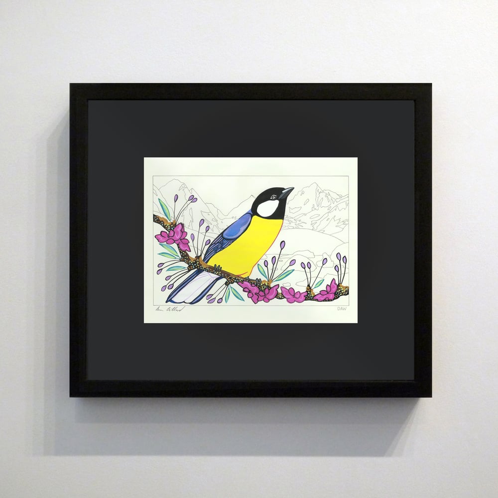 Image of Great Tit and Ottoline