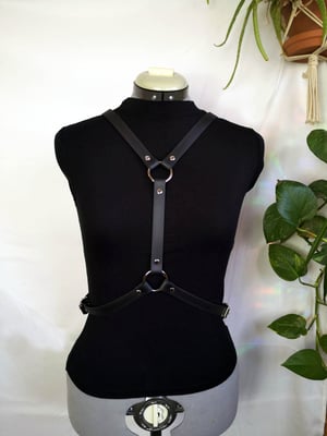 Image of Brenna Harness