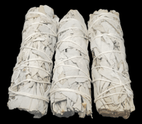 White Sage (Homegrown)