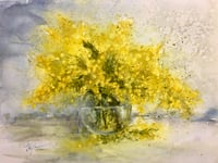 Mimosas