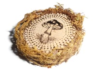 Image 3 of π Amanita Magnet - Small Mandala Mushroom - Wood Burning Art - Cottagecore - Natural 2.5" Inches