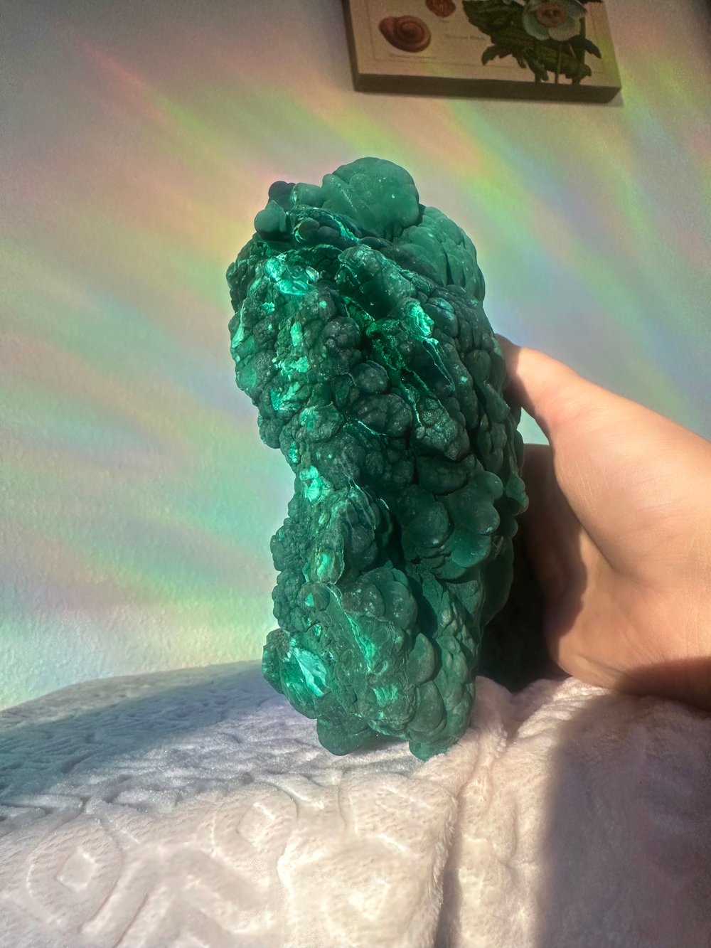 6 lb malachite