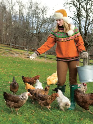 Image of Knit PDF - Hen Party Pullover