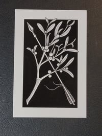 Mistletoe Print 4x6 