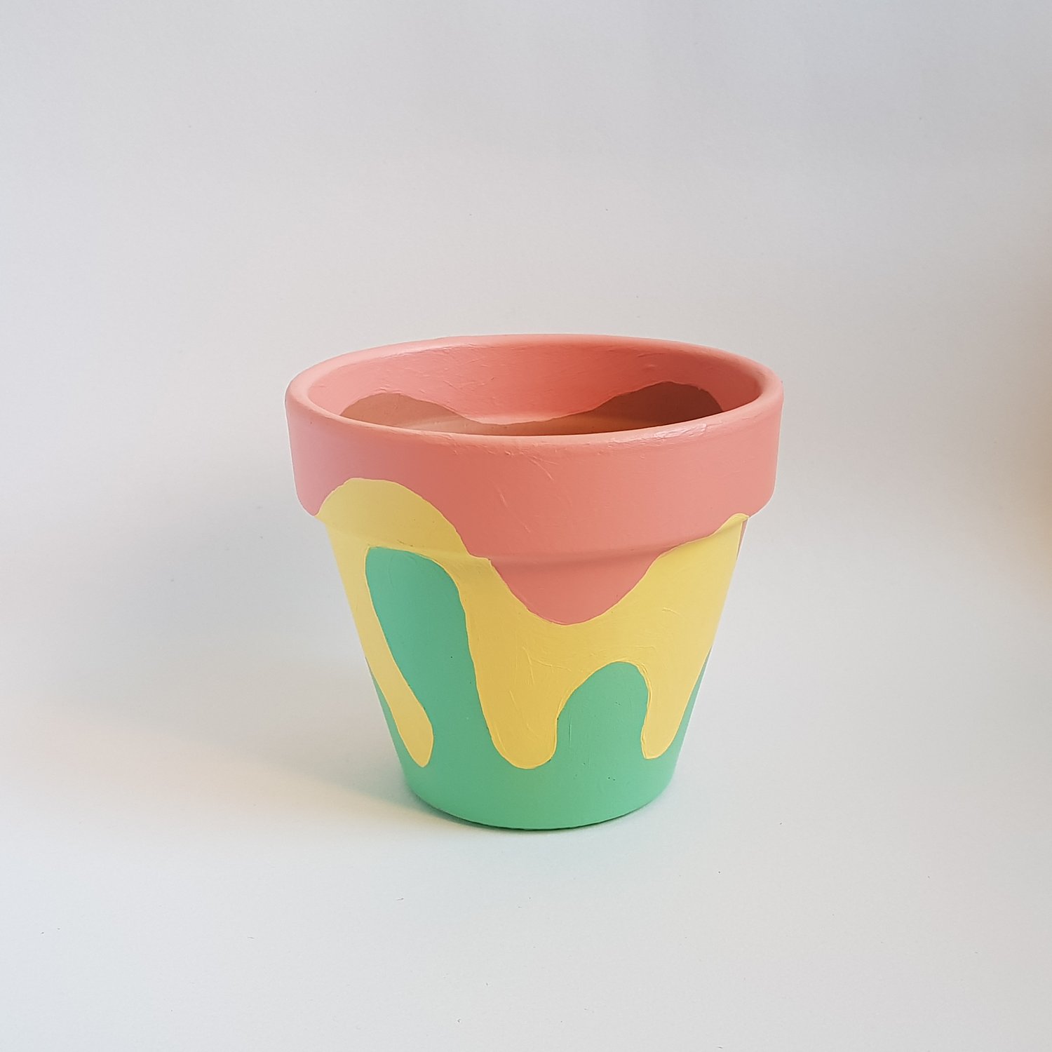 Hand painted plant pot - Design #1
